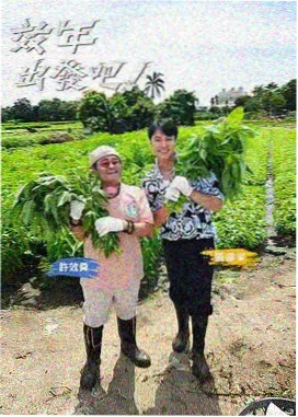 声线实验室 综艺封面